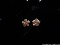 Front view of both floral rhinestone stud earrings against black background