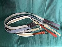 All four belts coiled to show full length, colors and trims