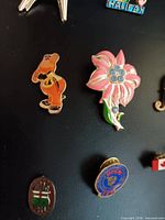 Selection of pins on black surface showing cartoon animal, pink flower, sports crest, oval stripe pin, Canadian flag