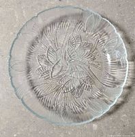 Single Canterbury Crocus plate top view