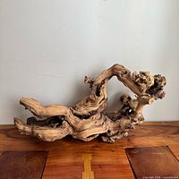 full view of driftwood sculpture on wood surface