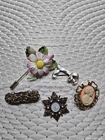 All five brooches arranged on fabric backdrop