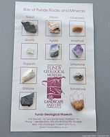 Front of display card showing nine labelled rock and mineral specimens