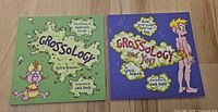 Both "Grossology" books front covers side by side on wood floor