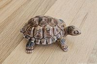 Top view of porcelain tortoise trinket box