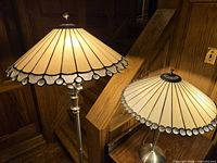 Floor and table lamps side by side showing full structure and shades