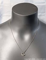 Full view of necklace on display bust