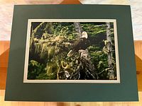 Full view of matted photograph