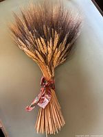 Full view of bundled dried wheat stalks tied with ribbon