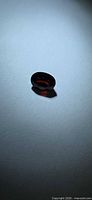 Cherry red oval faceted garnet front view