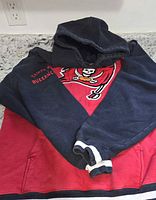 Full hoodie laid flat showing color scheme and logo