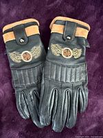 Front view of both gloves showing leather, suede, and embroidered H-D wing logo
