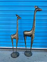 Front view of both brass giraffe sculptures against blue backdrop