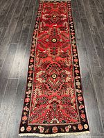 Full view of Hamadan runner rug showing entire length and pattern