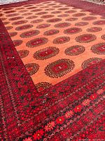 Full view of rug showing color, pattern, and size