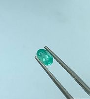 Emerald held by tweezers showing oval cut