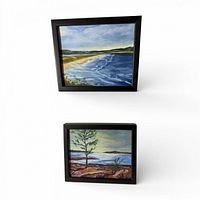 Both framed paintings overall view