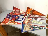 Group shot of all pennants laid on table