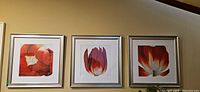 Three framed square floral prints on wall