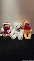 Group shot of three items: brown Santa bear, white bear, Pooh doll