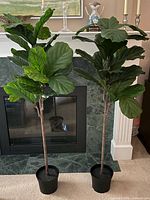 Two artificial fiddle leaf fig trees in black pots standing side by side