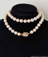 Necklace displayed on bust showing full strand and clasp front