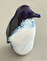 Front view showing cobalt head, white speckled belly, overall form