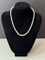 Pearl necklace displayed on bust