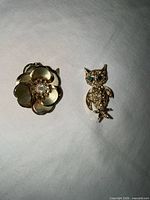 Front view of both brooches showing designs and stones