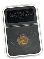 Sealed plastic case holding 1902 Indian Head penny with label