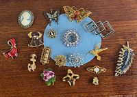 All seventeen brooches laid out for overview