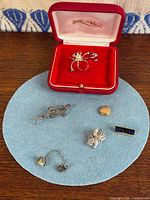 Group shot showing all brooches, pins, ring and pendant in and around red jewellery box