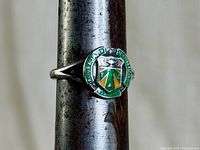 Close-up of ring crest showing enamel school emblem and silver setting