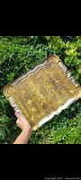 Front view of ornate gilt wood tray held outdoors
