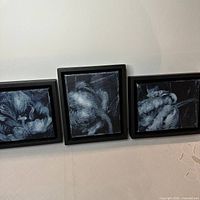 All three framed paintings side by side
