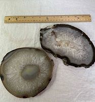 Top view showing both polished stone slices beside ruler for scale
