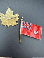 Front view of both brooches showing designs and enamel colors