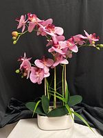 Full view of orchid arrangement in ceramic planter