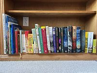 Entire shelf showing full assortment of about 40 books
