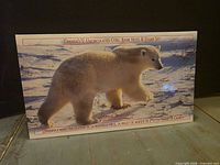 Front of presentation folder with polar bear artwork