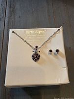 Necklace and earrings displayed on Birth Signs packaging