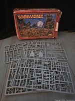Front view of open Warhammer Skeleton Warriors Regiment box with sprues displayed