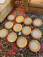 All 12 dinner plates arranged on floor showing topside design