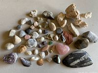 All stones, fossils, shells, and minerals arranged on flat surface