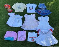 All thirteen items laid out on grass