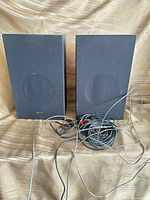 Front view of both Panasonic speakers with wires visible