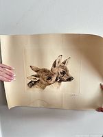 Full view of unframed etching showing two fawn heads on cream paper