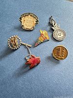 All five pins on blue background with loonie for scale