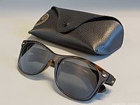 Sunglasses front three-quarter view beside case