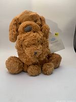 Front view of both plush dogs, hang tag visible